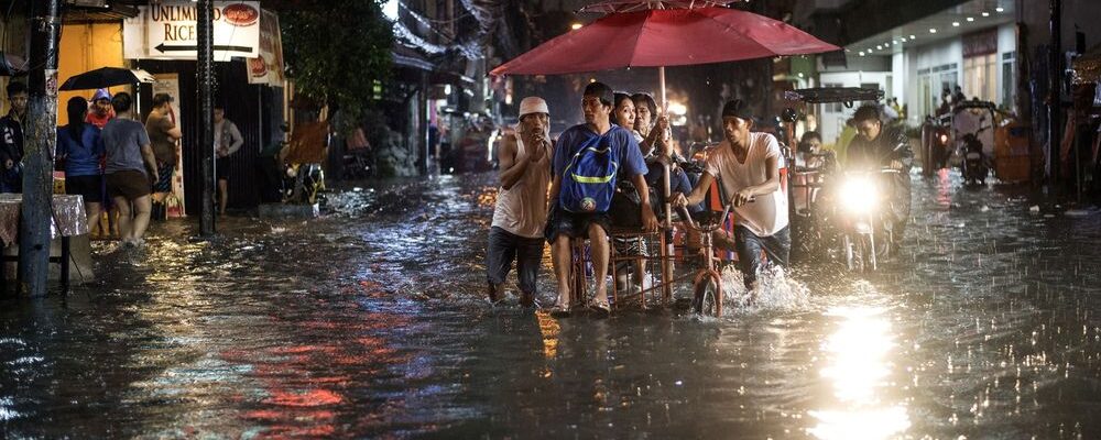 How to Prevent Leptospirosis