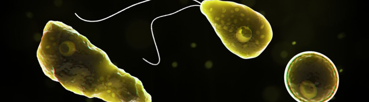 Brain-Eating Amoeba Claims 10 Lives in Pakistan