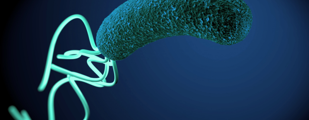 How to Prevent Cholera