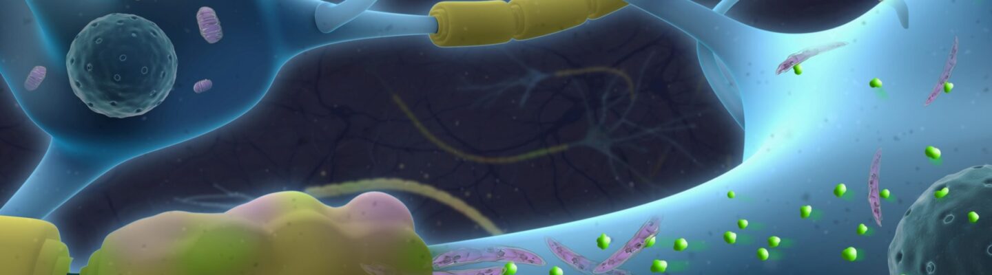 Multiple Sclerosis