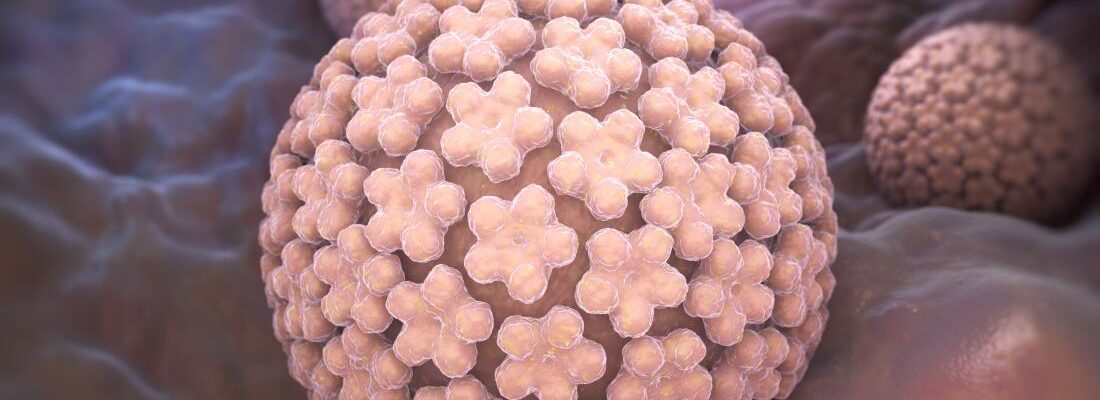 Genital Warts