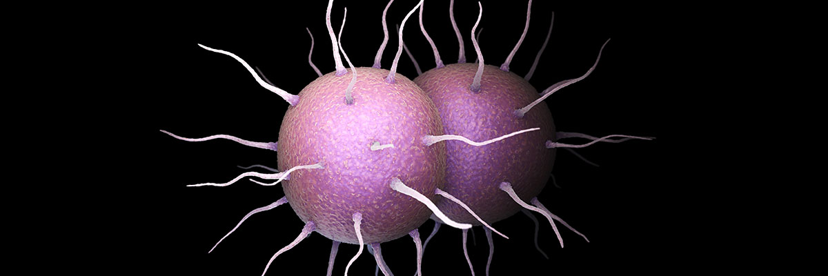 Gonorrhea