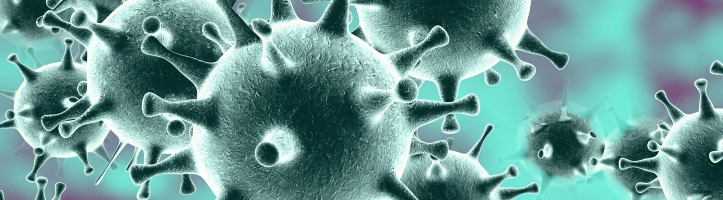 Middle East Respiratory Syndrome (MERS)
