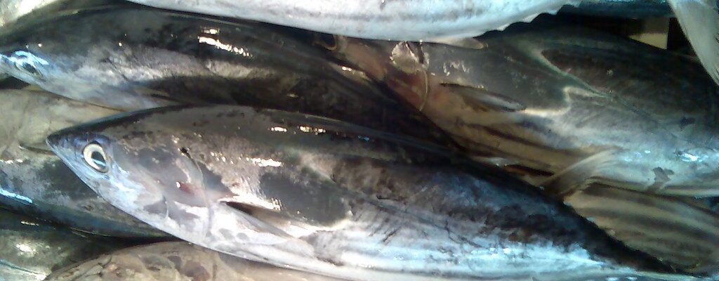 Allergy at rashes pagkatapos kumain ng isda