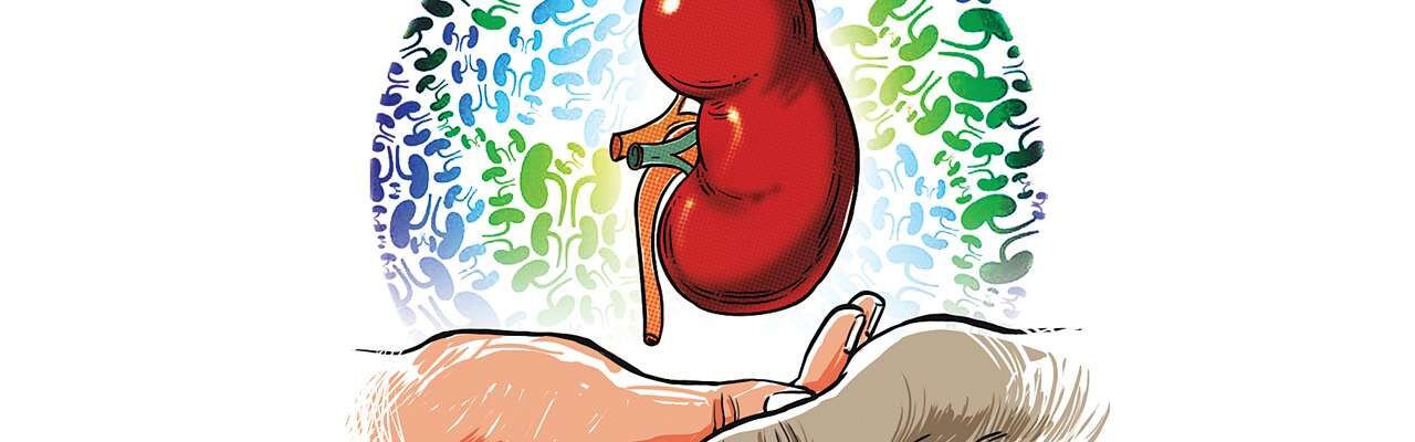 How to Prevent Kidney Disease