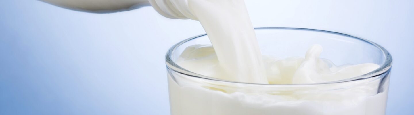 Is Milk Bad for People with High Uric Acid