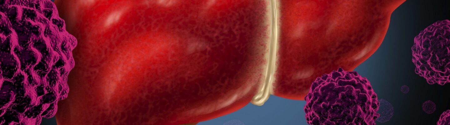 How to Prevent Hepatitis B