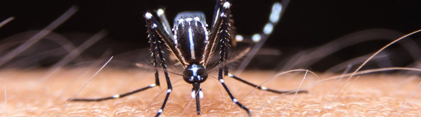 ABKD: Aksyon Barangay Kontra Dengue