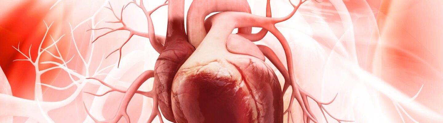 How to Prevent Rapid Heartbeat or Tachycardia