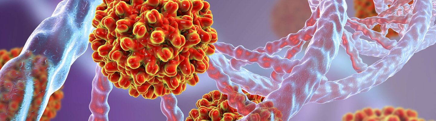 How Hepatitis B is Diagnosed