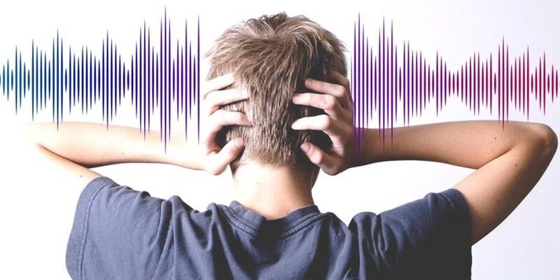 The Harmful Effects of Noise Pollution