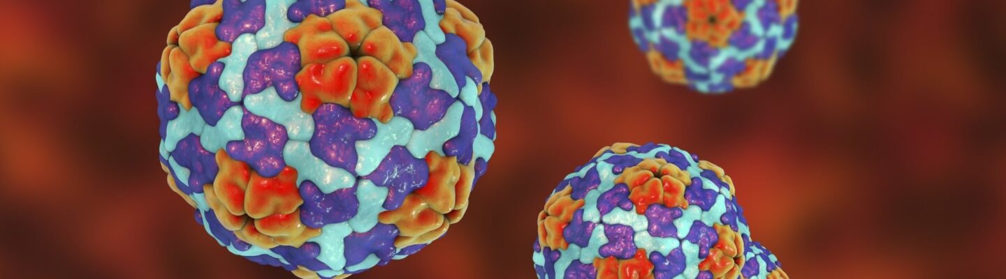 Hepatitis A