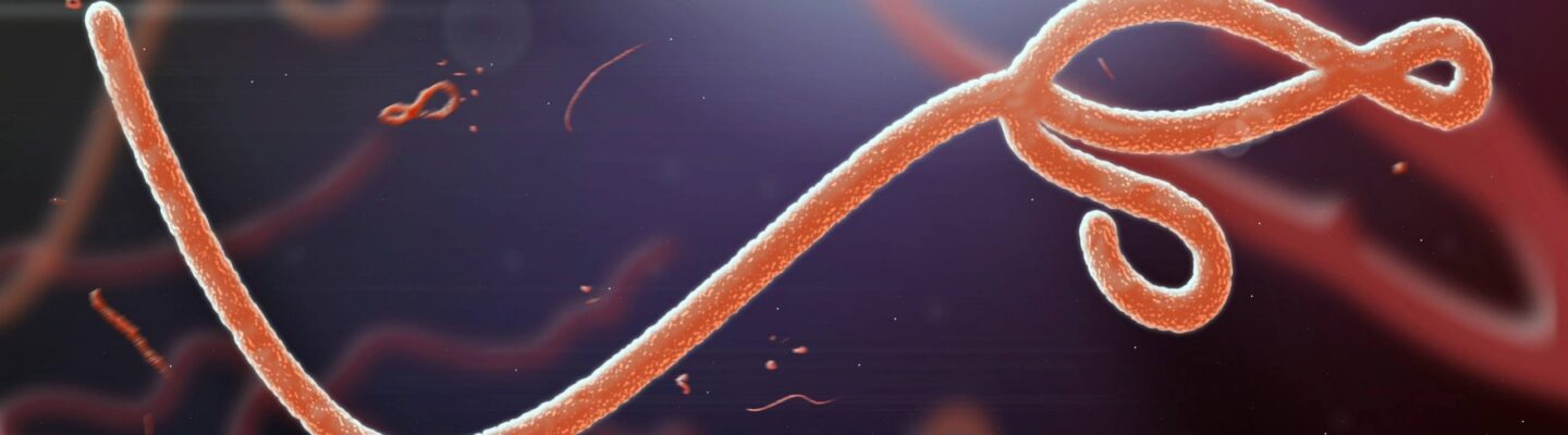 Ebola Virus Disease (Ebola)