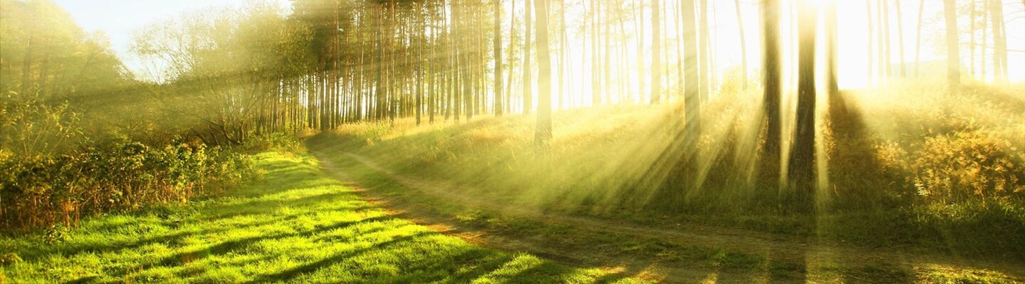 Negative Effects of Ultraviolet (UV) Rays on Health