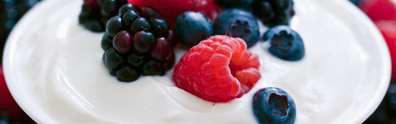 Good Bacteria in the Gut: Why They’re Essential