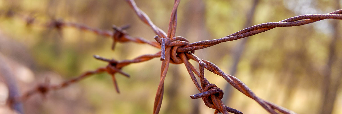Tetanus